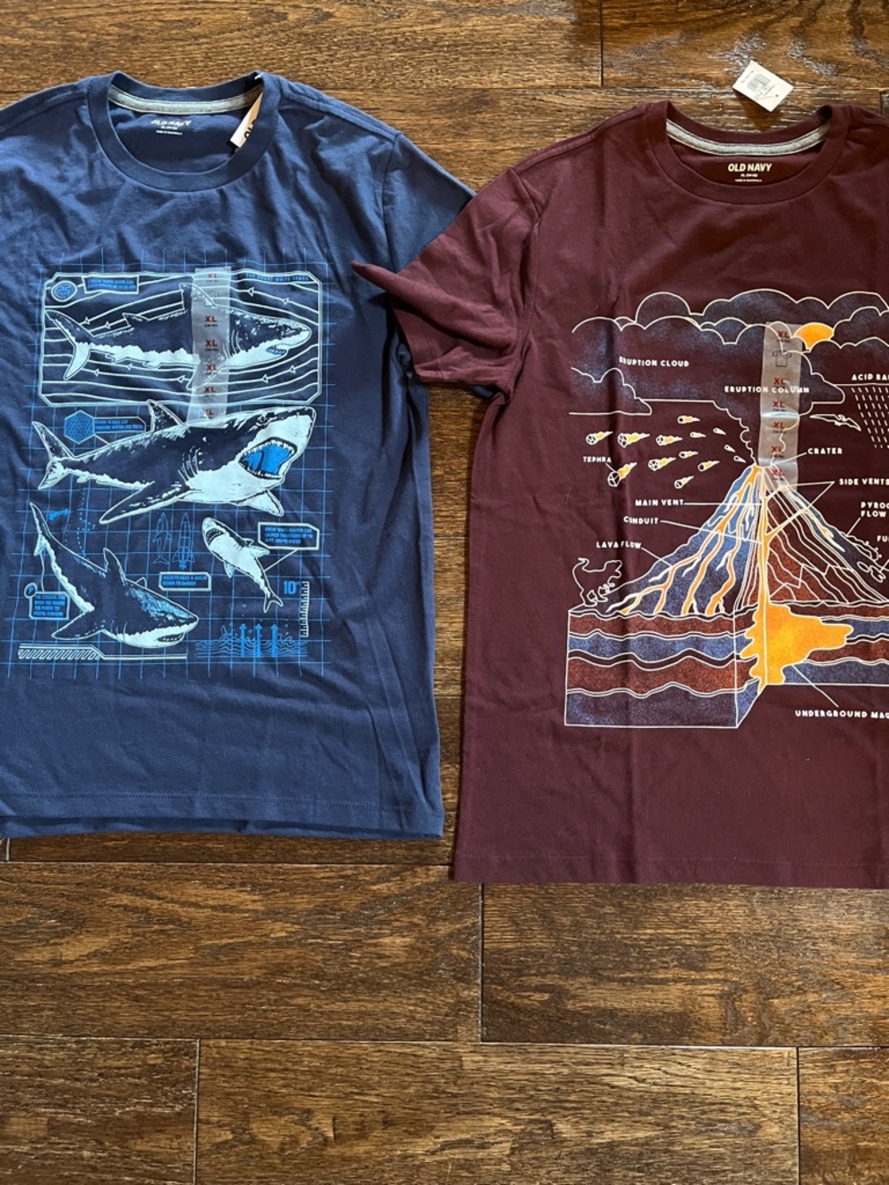 Boys NWT Old Navy blue & maroon t-shirts. Science theme.  Size 14/16.